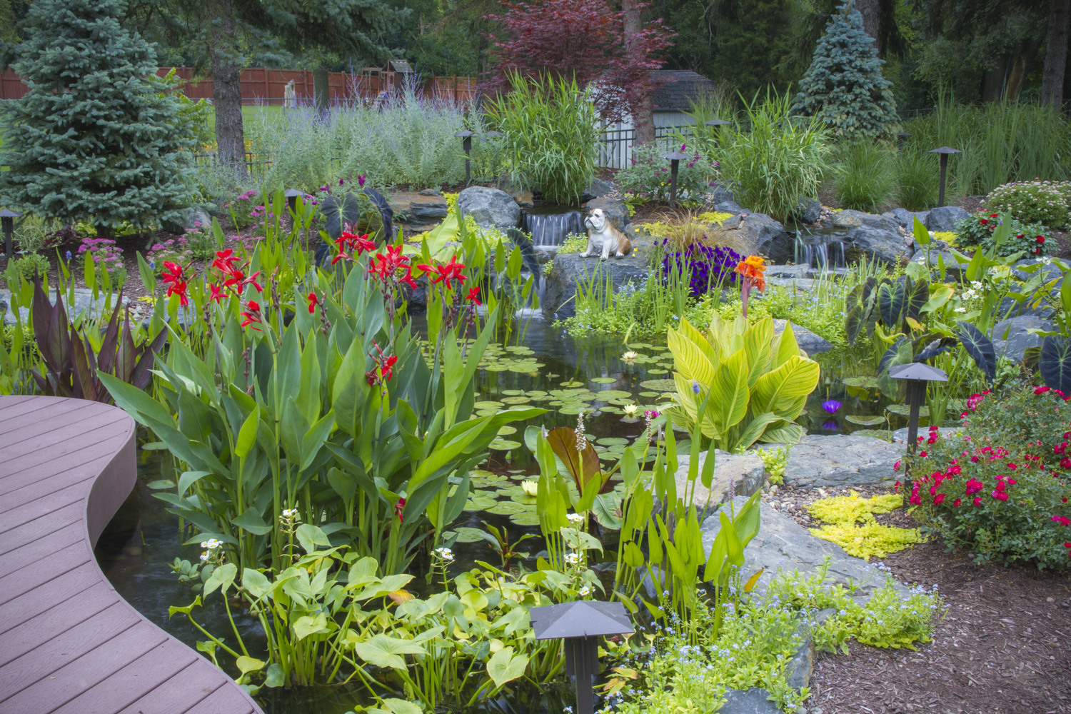 Attract Wildlife to Your Garden with a Pond!